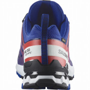 Scarpe da uomo Salomon Xa Pro 3D V9 Gore-Tex Equipe