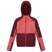 Felpa da bambino Regatta Dissolver VII rosso Mineral Red/Burgundy