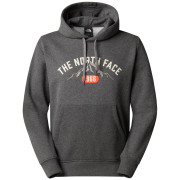 Felpa da uomo The North Face M Hoodie Varsity Graphic grigio TNF MEDIUM GREY HEATHER