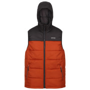 Gilet da uomo Regatta Nevado B/W arancione/grigio Ash/Burnt Copper