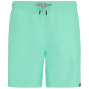 Pantaloncini da uomo Regatta Mackleyna Swim Short