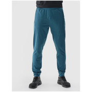 Pantaloni da tuta da uomo 4F Trousers Fnk M682