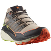 Scarpe da uomo Salomon Thundercross