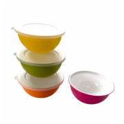 Set di ciotole Omada Sanaliving Bowls Set 4x 0,5L mix1