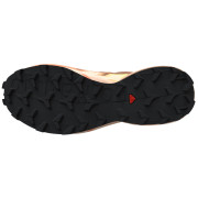 Scarpe da donna Salomon Speedcross 6 Gore-Tex