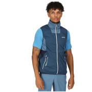 Gilet da uomo Regatta Lankin V