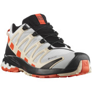 Scarpe da donna Salomon Xa Pro 3D V8 GTX W nero/beige Lunar Rock / Cherry Tomato / Sun Kiss