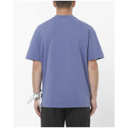 Maglietta da uomo Salomon Wild Rays Label SS Tee