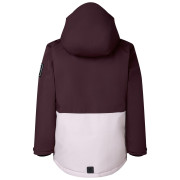 Giacca da bambino Dare 2b Wing It Jacket Hucklbr/PkHz