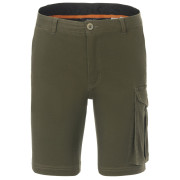Pantaloncini da uomo Regatta Bendrick Shorts verde Dark Khaki