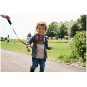 Redinelle di sicurezza LittleLife Toddler Reins Dinosaur