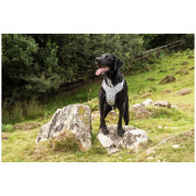 Pettorina per cane Mountain Paws Reflective Dog Harness