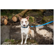 Guinzaglio per cane Mountain Paws Waterproof Dog Lead