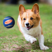 Giocattolo per cane Nerf Dog Squeak Tennis Ball 3 pcs
