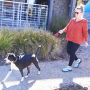 Guinzaglio per cane Nite Ize RadDog™ Retractable Pocket Leash