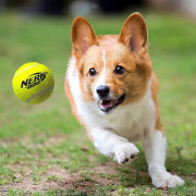 Giocattolo per cane Nerf Dog Blaster + Tennis Balls 3 pcs