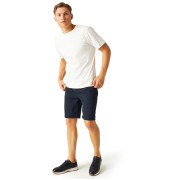 Pantaloncini da uomo Regatta Aldan Short