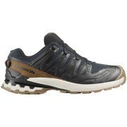 Scarpe da uomo Salomon Xa Pro 3D V9 Gore-Tex Lifelong nero/marrone Black / Coyote Brown / Vanilla Ice