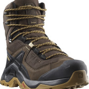 Scarpe da trekking da uomo Salomon Quest Element Gore-Tex nero/marrone Delicioso / Black / Dull Gold