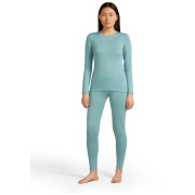 Maglietta da donna Icebreaker W's 260 Tech LS Crewe