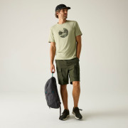 Pantaloncini da uomo Regatta Arlery Shorts
