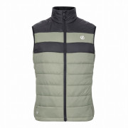 Gilet da uomo Dare 2b Touring II Gilet verde/nero OlvneGrn/Blk