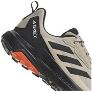 Scarpe da uomo Adidas Terrex Anylander R.Rdy