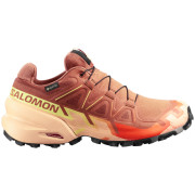 Scarpe da donna Salomon Speedcross 6 Gore-Tex