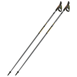 Bastoncini da nordic walking Fizan NW Runner Gold