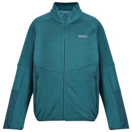 Felpa da bambino Regatta Highton WtrFZ III azzurro Pagoda/Drgnf