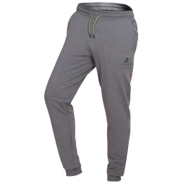 Pantaloni da uomo Alpine Pro Comm grigio grey