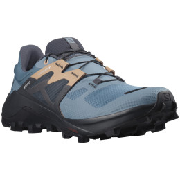 Scarpe da donna Salomon Wildcross 2 Gore-Tex blu Bluestone