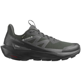 Scarpe da trekking da uomo Salomon Elixir Activ Gore-Tex