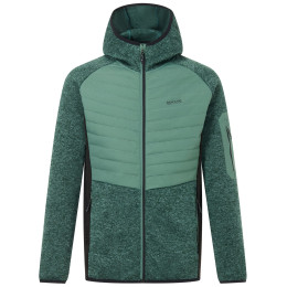 Giacca ibrida da uomo Regatta Newhill Hybrid verde/nero DkFrstGr/Blk