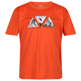 Maglietta da bambino Regatta Alvarado VII arancione Blaze Orange