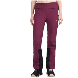 Pantaloni da donna 4F Trousers Fnk F1406 bordeaux Burgundy
