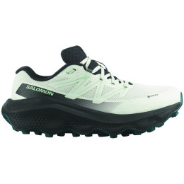 Scarpe da corsa da donna Salomon Ultra Flow 2 Gore-Tex