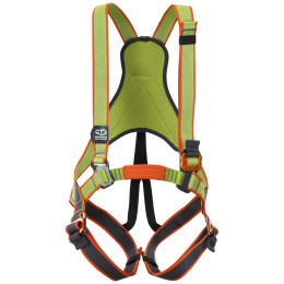 Imbracatura da arrampicata per bambini Climbing Technology Jungle Harness verde Green/Gray