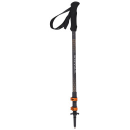 Bastoncini da trekking Camp Backcountry Pro nero