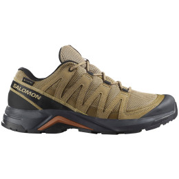 Scarpe da trekking da uomo Salomon X-Adventure Recon Gore Tex