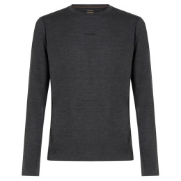 Maglietta funzionale da uomo Icebreaker Men 200 MerinoFine Ace LS Crewe grigio Jet Hthr-011