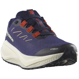 Scarpe da corsa da uomo Salomon Aero Blaze 3 Grvl