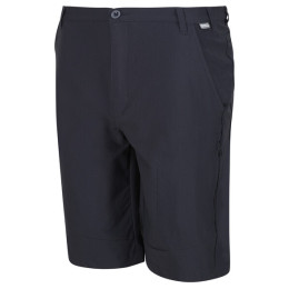 Pantaloncini da uomo Regatta Highton ShortLong grigio scuro India Grey