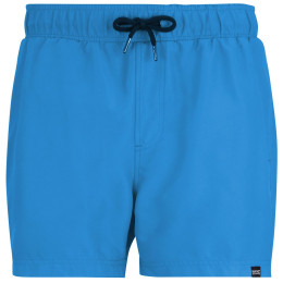 Costume da bagno da uomo Regatta Mawson Swim Shorts III