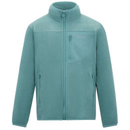 Felpa da bambino Regatta Junior Frankie F/Z Ivy Moss verde chiaro Ivy Moss