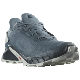 Scarpe da corsa da uomo Salomon Alphacross 4 Gore-Tex blu/grigio China Blue / Carbon / Lunar Rock