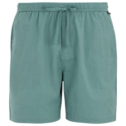 Pantaloncini da uomo Regatta Hadlin Shorts azzurro Arctic