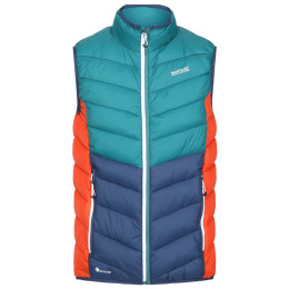 Gilet da uomo Regatta Harrock B/W