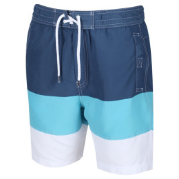 Pantaloncini da uomo Regatta Bratchmar VI blu Dkde/Mabl/Wh
