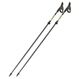 Bastoncini da nordic walking Fizan Tekno
